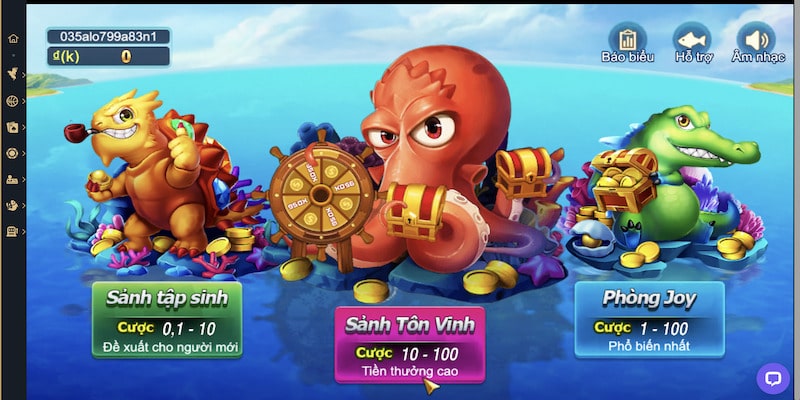 Sảnh thực tập sinh vua săn cá hấp dẫn